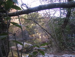 20/01/2002 - Sillans la Cascade - Croix de Sollis