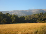 09/01/2005 - Jas de Frdric