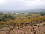02/11/2008 - Les hauteurs de Saint- Maximin
