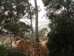 24/01/2010 - Le vallon des Infernets et la crte de la Lare