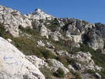 23/01/2011 - La Tour des Opies