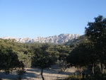 23/01/2011 - La Tour des Opies