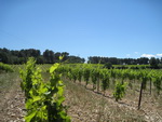 15/05/2011 - Boucle de Saint Cannat