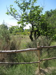 15/05/2011 - Boucle de Saint Cannat