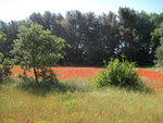 15/05/2011 - Boucle de Saint Cannat