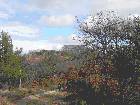 10/01/2016 - Marche des Grillades-Ermitage St Jean