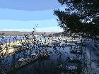 02/10/2016 - La Madrague-Port d'Alon et retour par les vignes