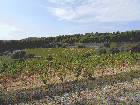02/10/2016 - La Madrague-Port d'Alon et retour par les vignes