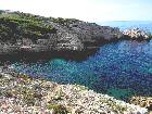 02/10/2016 - La Madrague-Port d'Alon et retour par les vignes